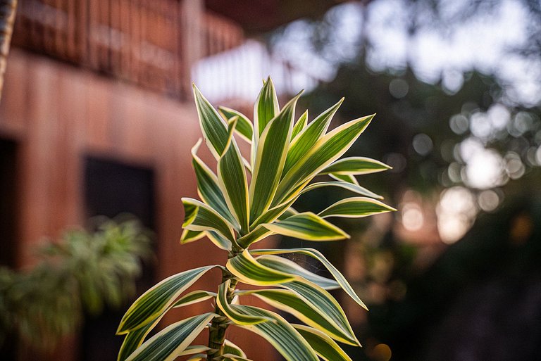 Goa Casas do Mar 3 · Ocean view · Praia do Rosa